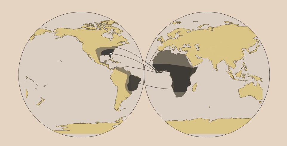The Georgia Negro: A map of transatlantic slave trade routes.
